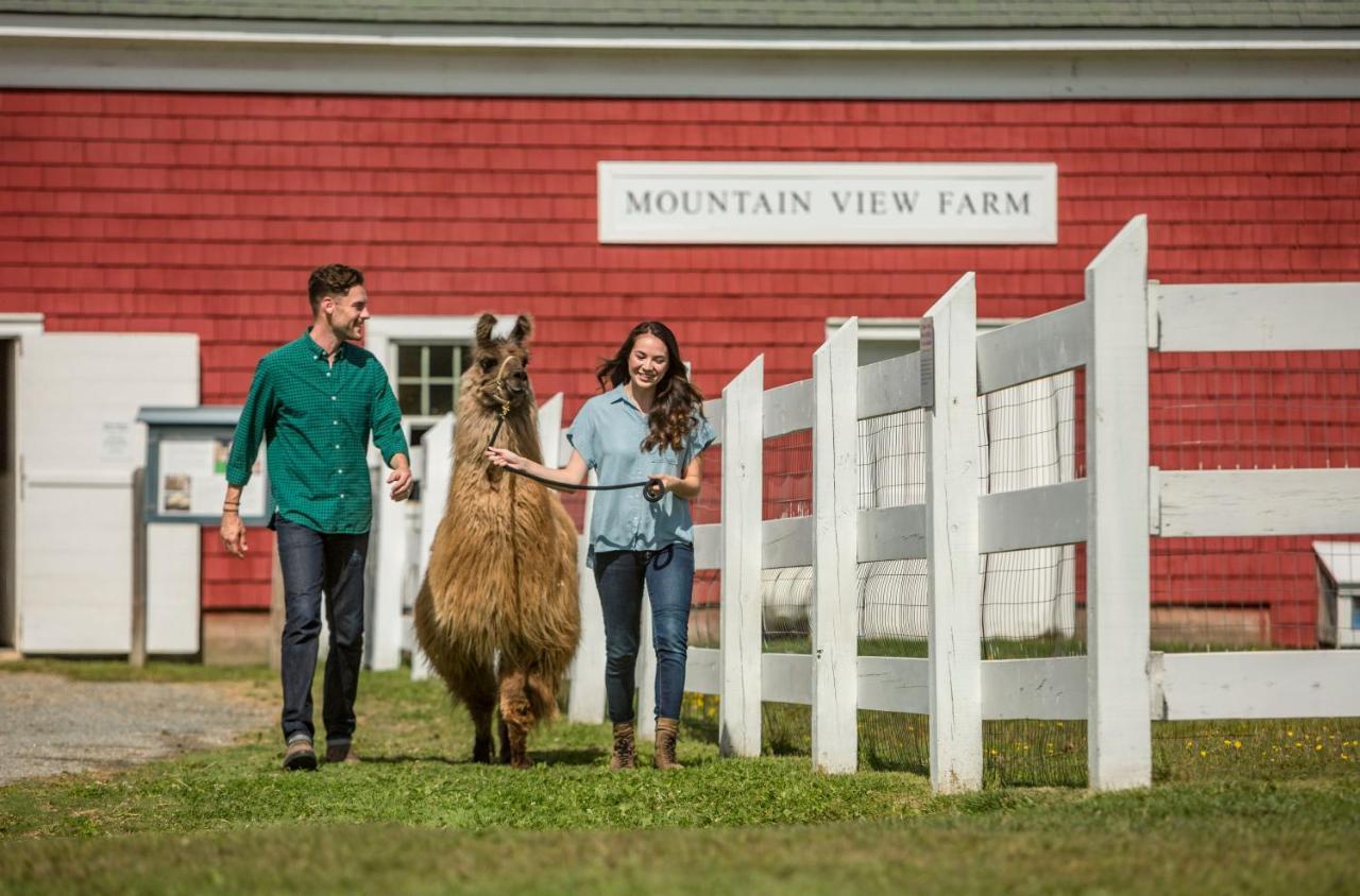 Mountain View Grand Resort & Spa Whitefield Exteriér fotografie